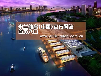案例展示八