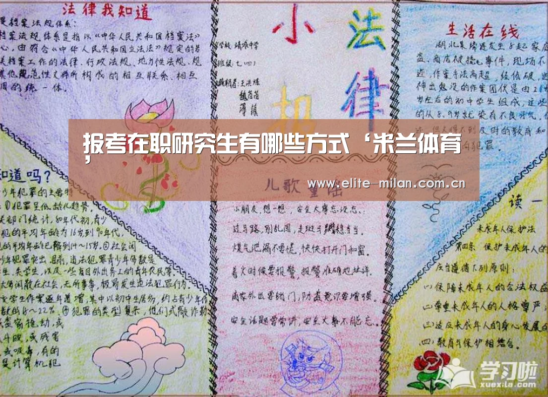 官网入口