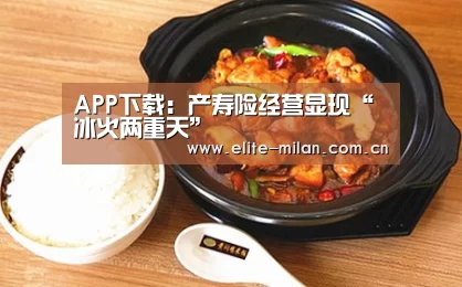 APP下载:产寿险经营显现“冰火两重天”(图3) 官网入口
