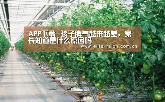 APP下载-孩子脾气越来越差,家长知道是什么原因吗(图4) 官网入口