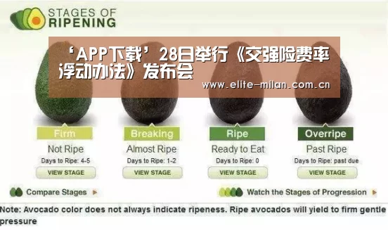 ‘APP下载’28日举行《交强险费率浮动办法》发布会(图2)