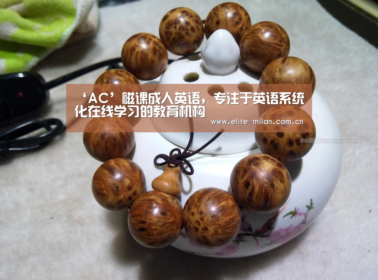 官网入口