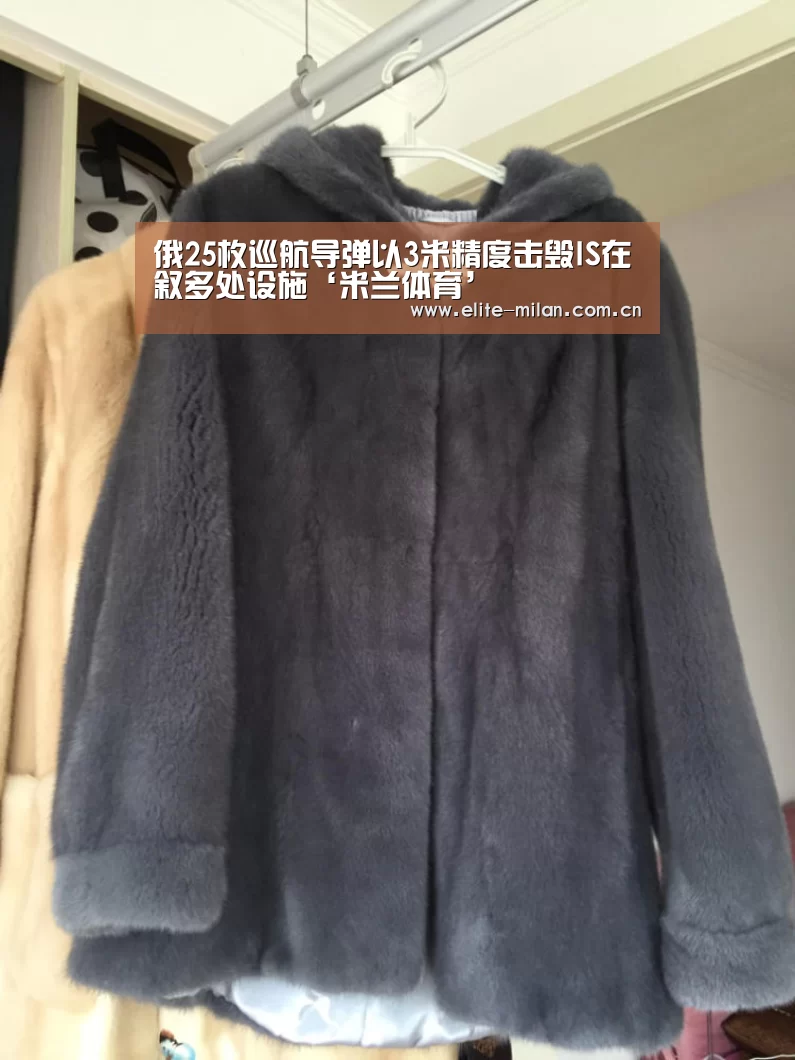 俄25枚巡航导弹以3米精度击毁IS在叙多处设施‘米兰体育’(图2)