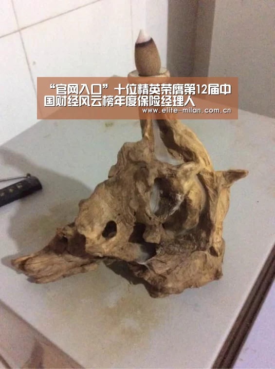 “官网入口”十位精英荣膺第12届中国财经风云榜年度保险经理人(图4) 米兰体育