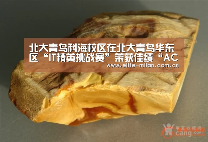 官网入口