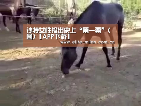 沙特女性投出史上“第一票”(图)【APP下载】(图1)