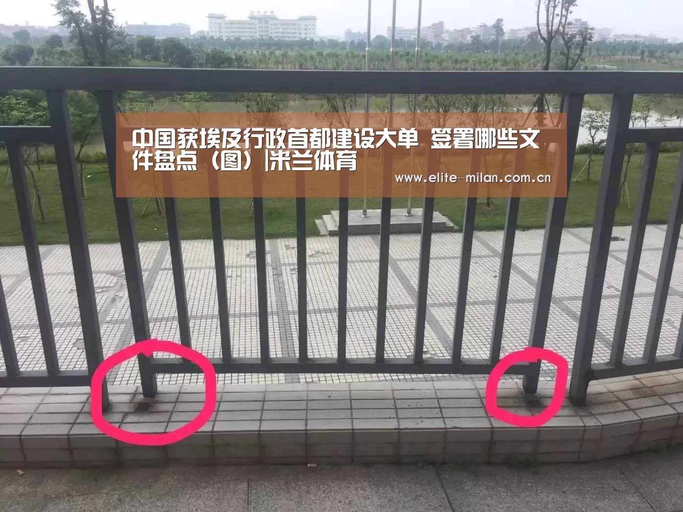 APP下载